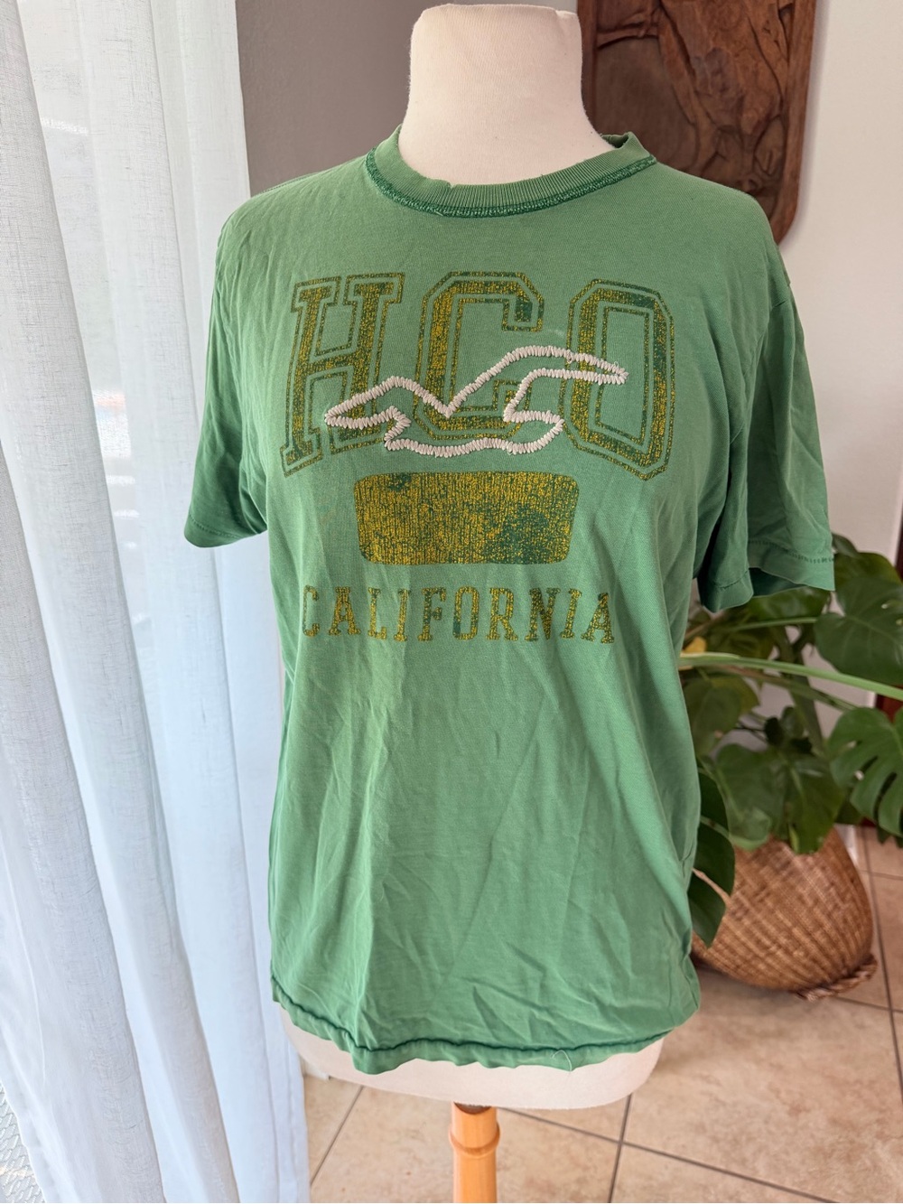 Hollister California Green Graphic Tee Shirt Seagull Logo Mens M